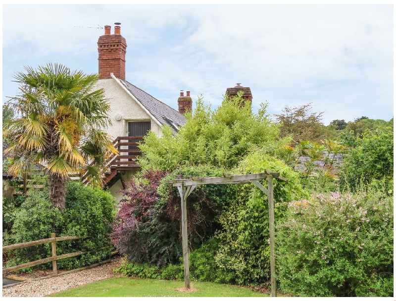 Click here for more about Fig Trees - Wibble Farm