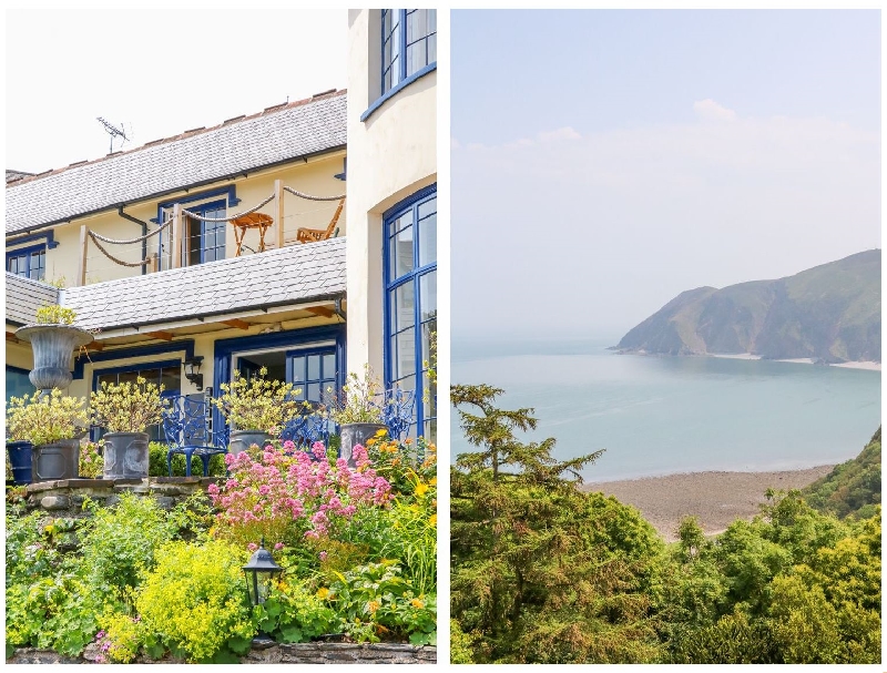 Click here for more about Baywatch (St. David's View)