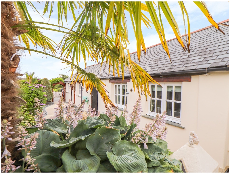 Click here for more about Meadowview Cottage