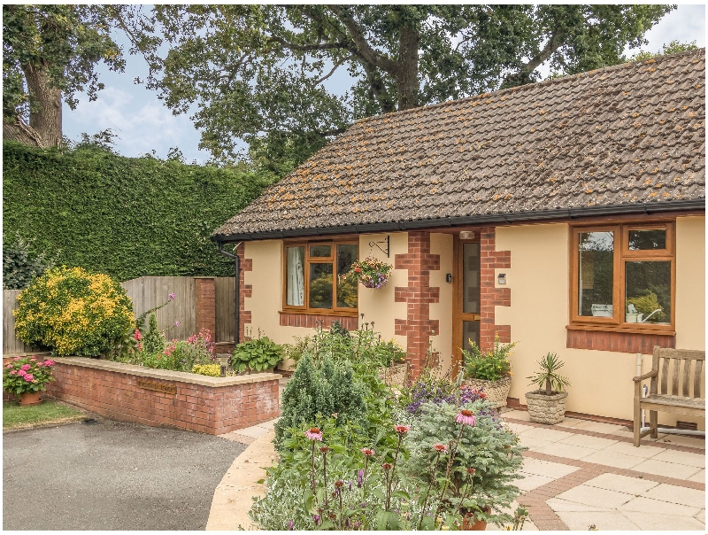 Click here for more about Pipistrelle Lodge