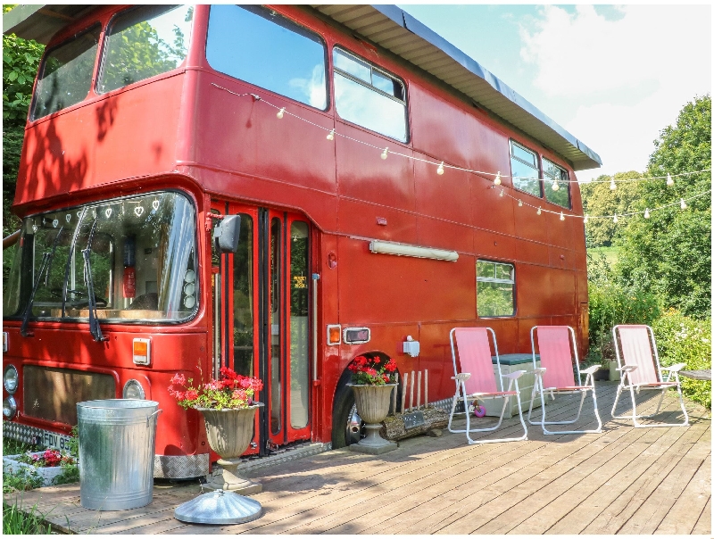 Click here for more about The Red Bus!