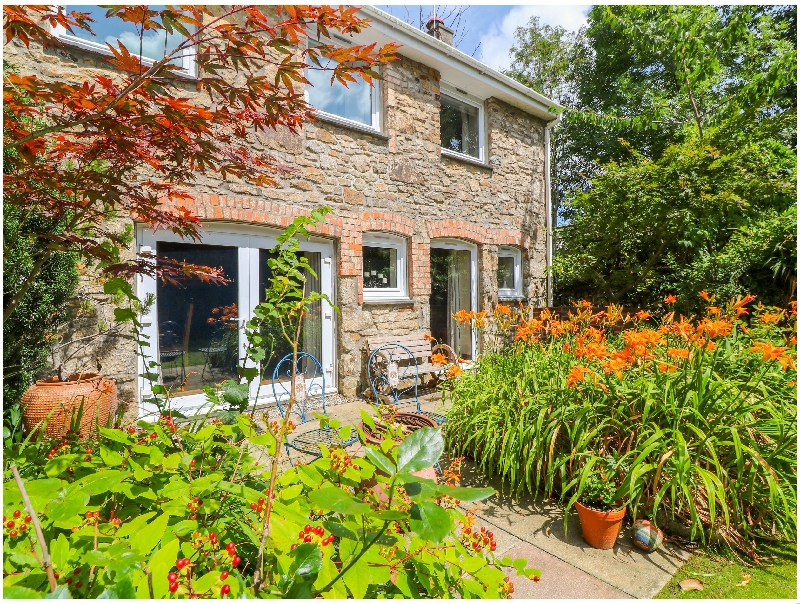 Click here for more about Coth Skyber