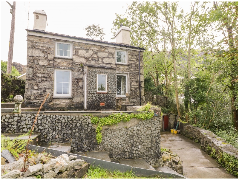 Welsh holiday cottages - Brondderwen