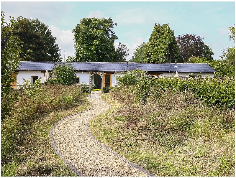 Click here for more about Pippin