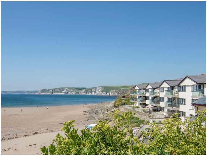 Click here for more about 17 Burgh Island Causeway