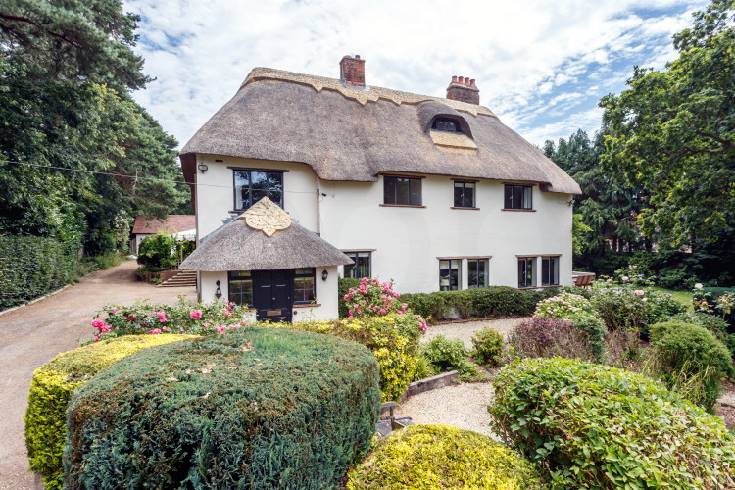 Click here for more about Thatchby Oak